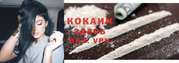 гидра Белоозёрский