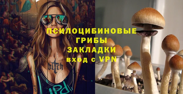 экстази Белокуриха