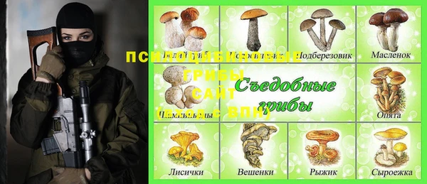 гидра Белоозёрский