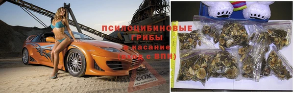 экстази Белокуриха