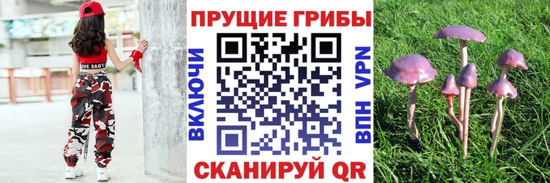 Псилоцибиновые грибы ЛСД Вельск